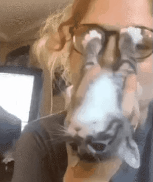 완강한 뽀뽀거부