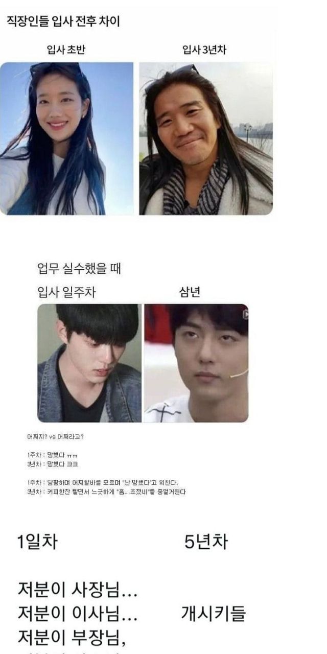 신입 경력 직장인차이.jpg